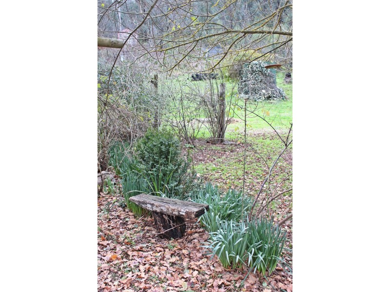 3900 Tumbarumba Road, Tumbarumba NSW 2653