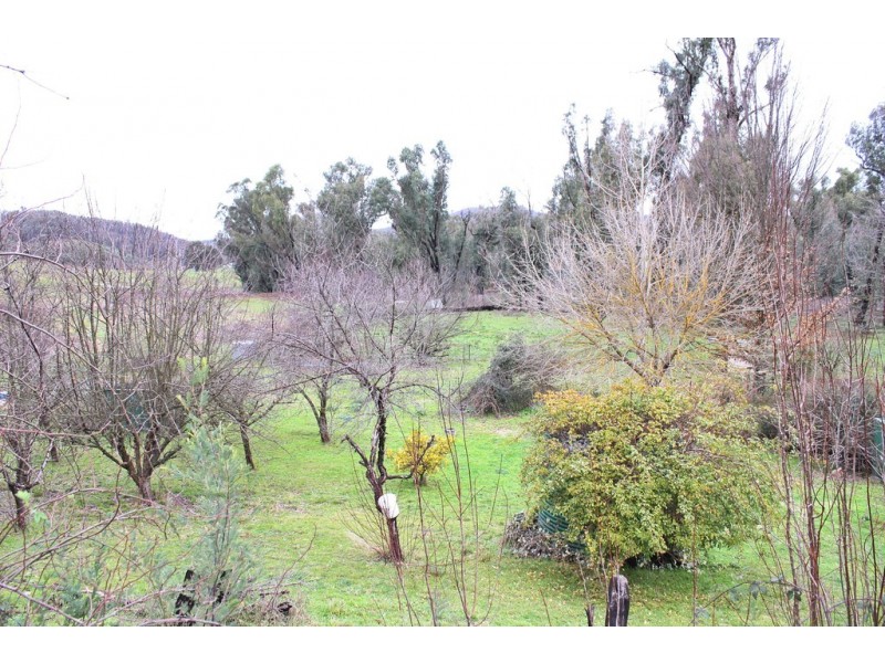3900 Tumbarumba Road, Tumbarumba NSW 2653