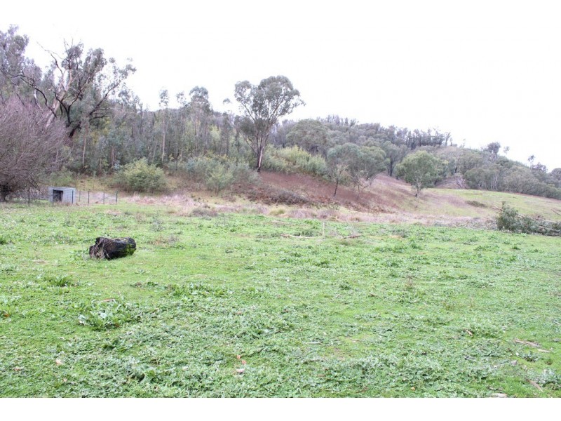 3900 Tumbarumba Road, Tumbarumba NSW 2653