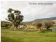 56 Albury Street, Tumbarumba NSW 2653