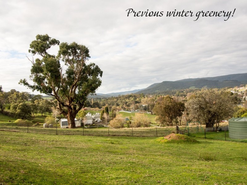 56 Albury Street, Tumbarumba NSW 2653