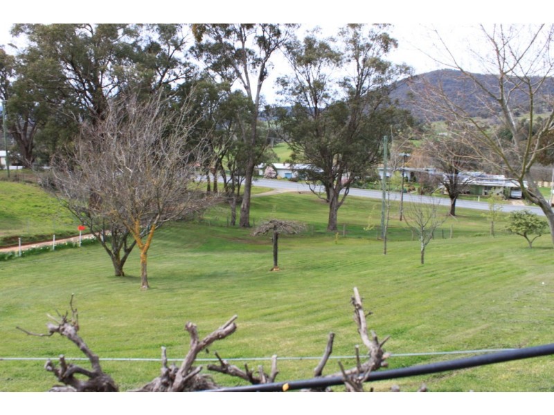 131 Batlow Road, Tumbarumba NSW 2653