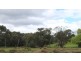 131 Batlow Road, Tumbarumba NSW 2653