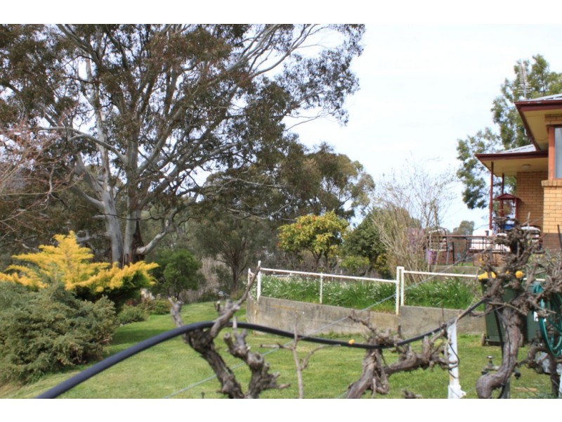 131 Batlow Road, Tumbarumba NSW 2653