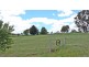 5 Chaffey Close, Tumbarumba NSW 2653