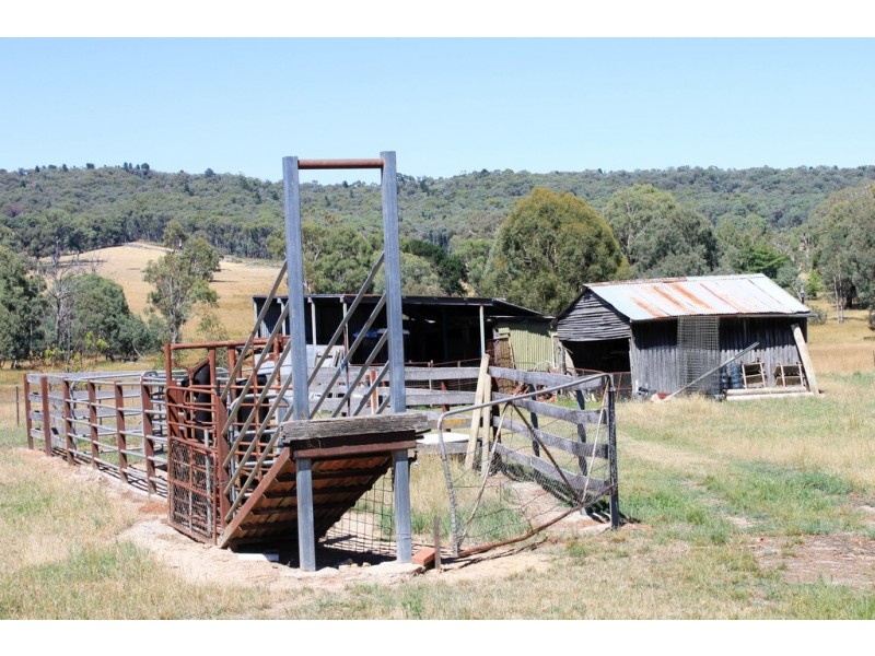 79 Camden Park Road, Tumbarumba NSW 2653