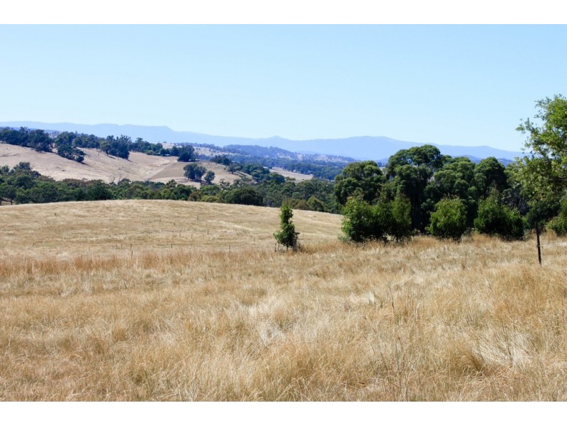 79 Camden Park Road, Tumbarumba NSW 2653