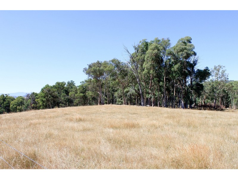 79 Camden Park Road, Tumbarumba NSW 2653