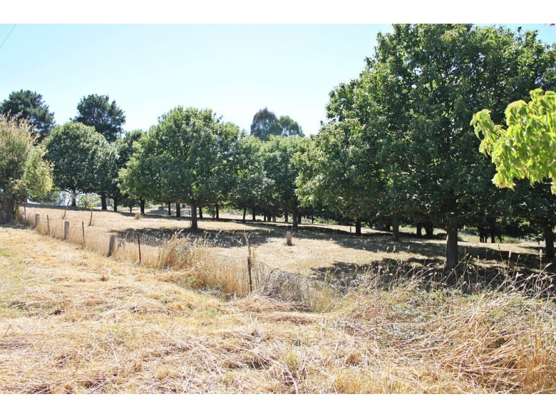 18 Mercury Lane, Tumbarumba NSW 2653