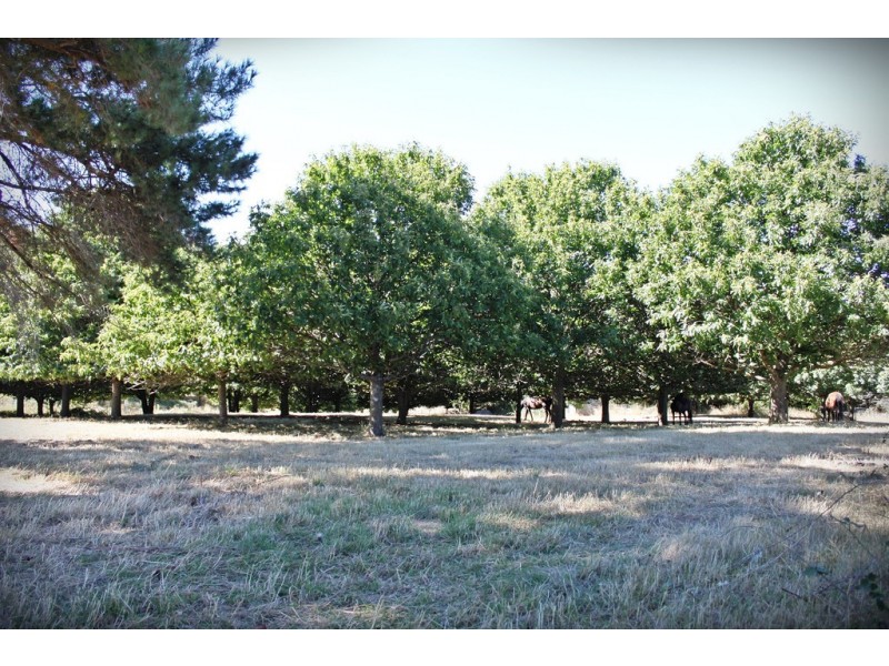 18 Mercury Lane, Tumbarumba NSW 2653