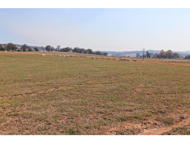 L23 DP755892 Cemetery Road, Tumbarumba NSW 2653