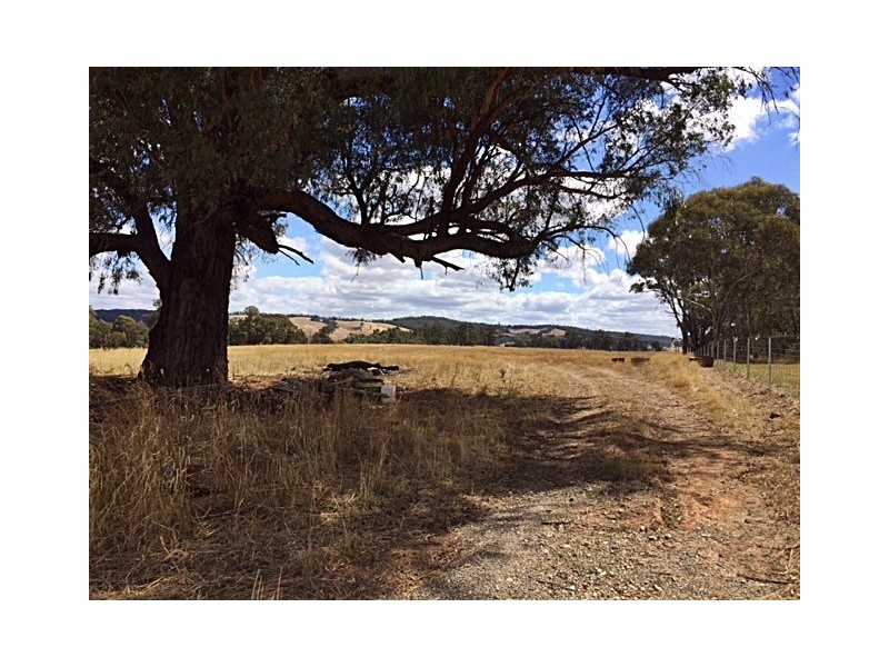 L23 DP755892 Cemetery Road, Tumbarumba NSW 2653