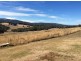 175 Willigobung Rd, Tumbarumba NSW 2653