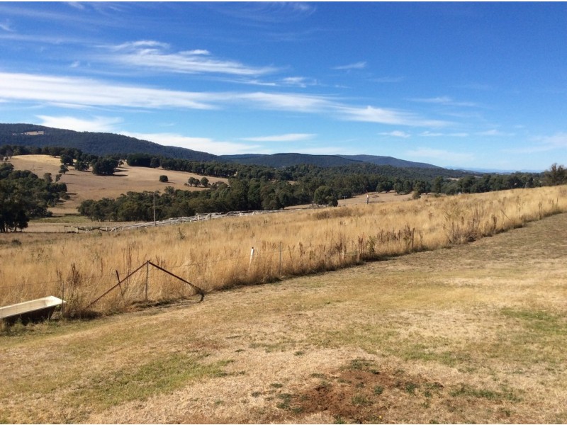 175 Willigobung Rd, Tumbarumba NSW 2653