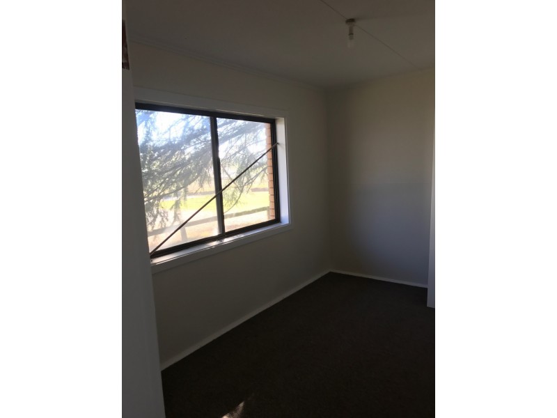 175 Willigobung Rd, Tumbarumba NSW 2653