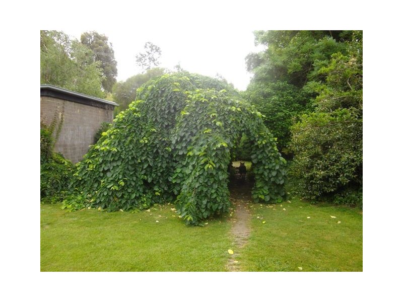 “China Walls” Maragle Road, Maragle NSW 2653