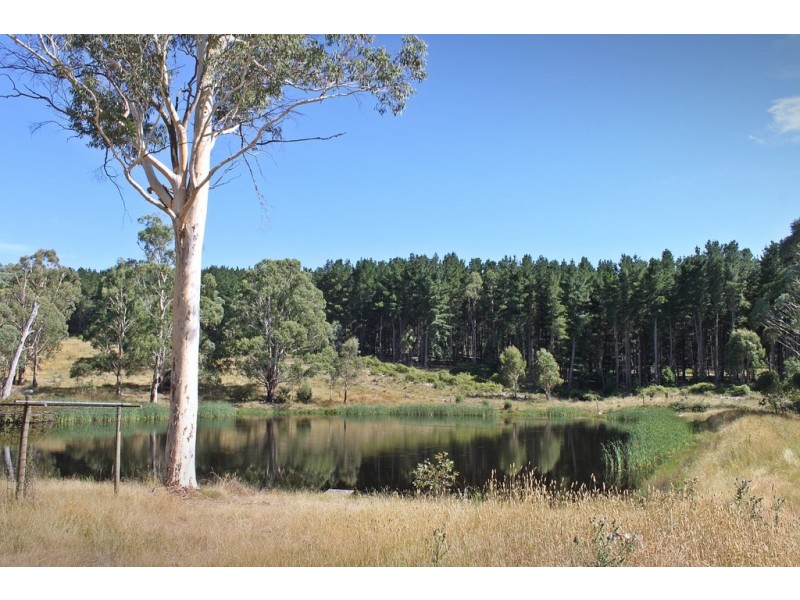 “China Walls” Maragle Road, Maragle NSW 2653