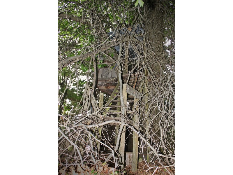 “China Walls” Maragle Road, Maragle NSW 2653