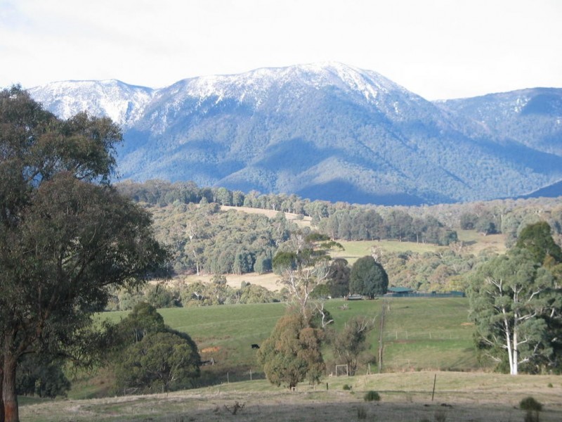 “China Walls” Maragle Road, Maragle NSW 2653