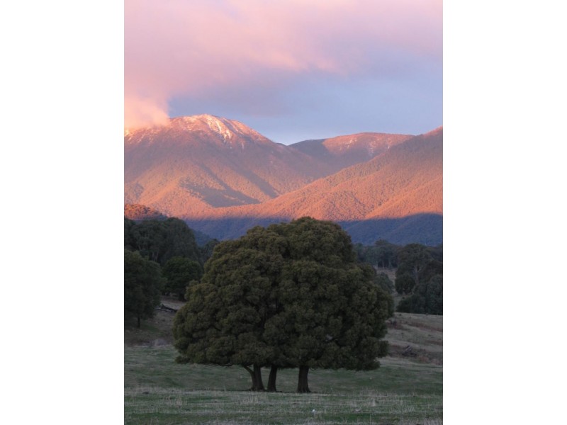 “China Walls” Maragle Road, Maragle NSW 2653