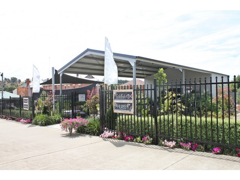 19 Bridge Street, Tumbarumba NSW 2653