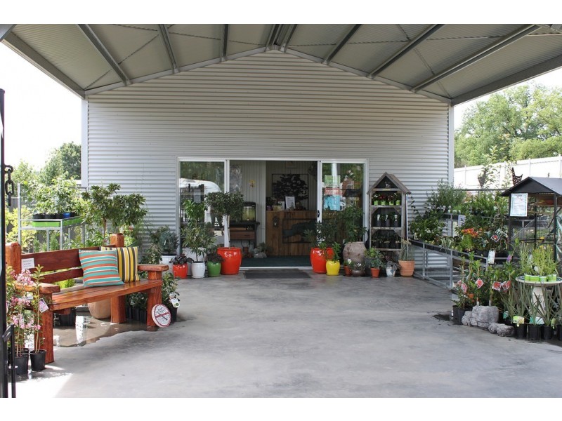 19 Bridge Street, Tumbarumba NSW 2653