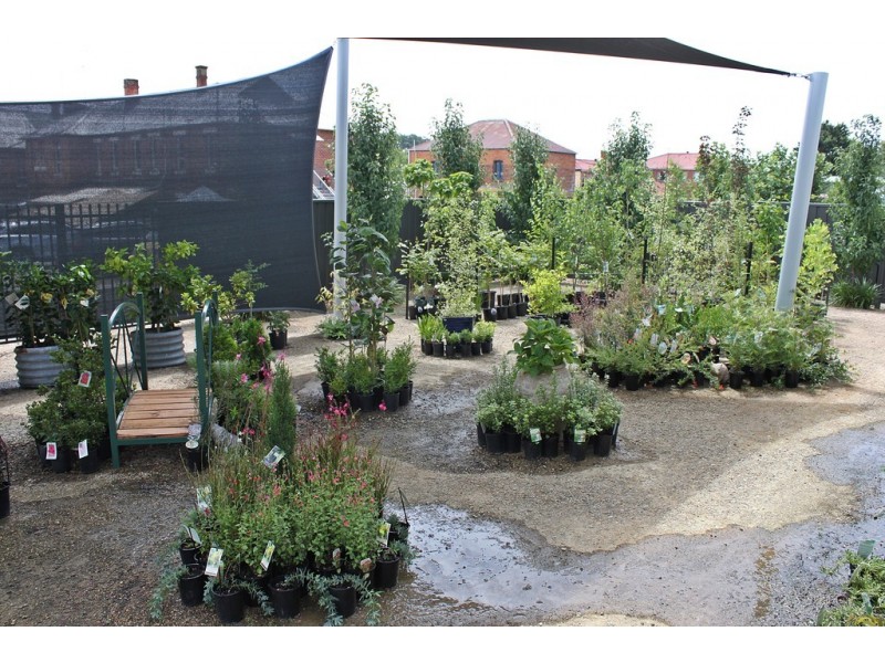 19 Bridge Street, Tumbarumba NSW 2653