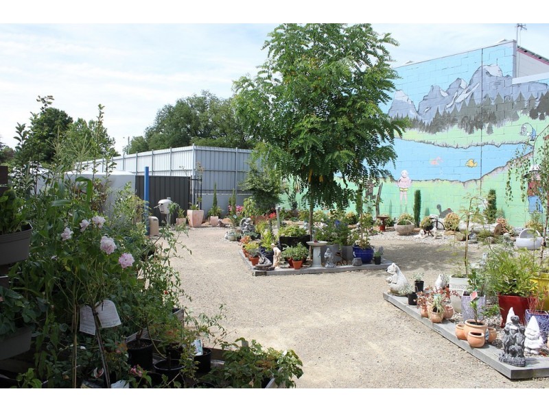 19 Bridge Street, Tumbarumba NSW 2653