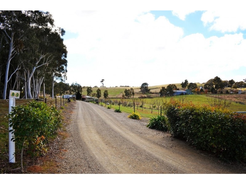 80 Camden Park Road, Tumbarumba NSW 2653