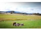 80 Camden Park Road, Tumbarumba NSW 2653