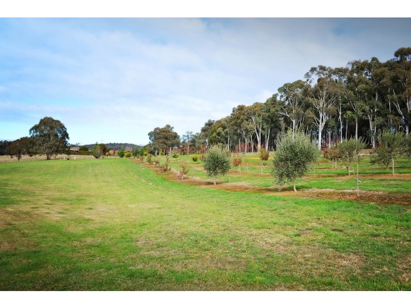 80 Camden Park Road, Tumbarumba NSW 2653