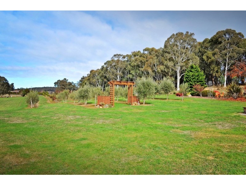 80 Camden Park Road, Tumbarumba NSW 2653