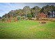 80 Camden Park Road, Tumbarumba NSW 2653