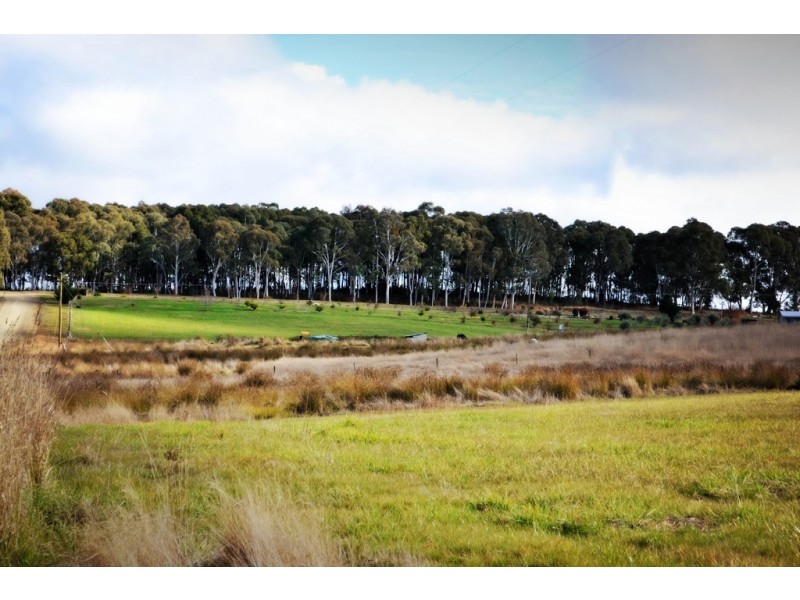80 Camden Park Road, Tumbarumba NSW 2653