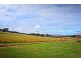 80 Camden Park Road, Tumbarumba NSW 2653