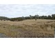 3966 Jingellic Road, Tumbarumba NSW 2653