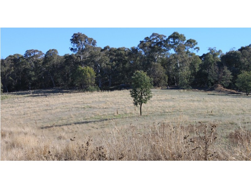 3966 Jingellic Road, Tumbarumba NSW 2653