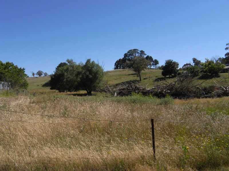 Lot 5 Albury Street, Tumbarumba NSW 2653