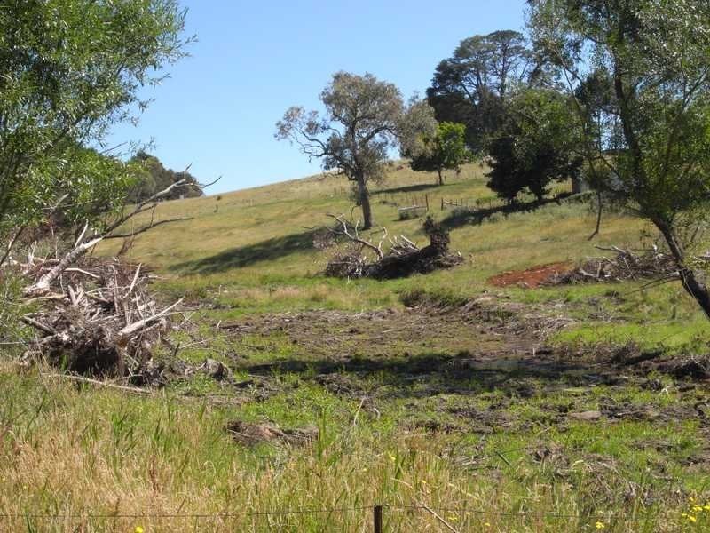 Lot 5 Albury Street, Tumbarumba NSW 2653