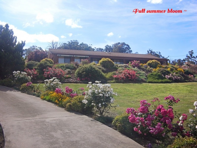 75 Bogong Street, Tumbarumba NSW 2653