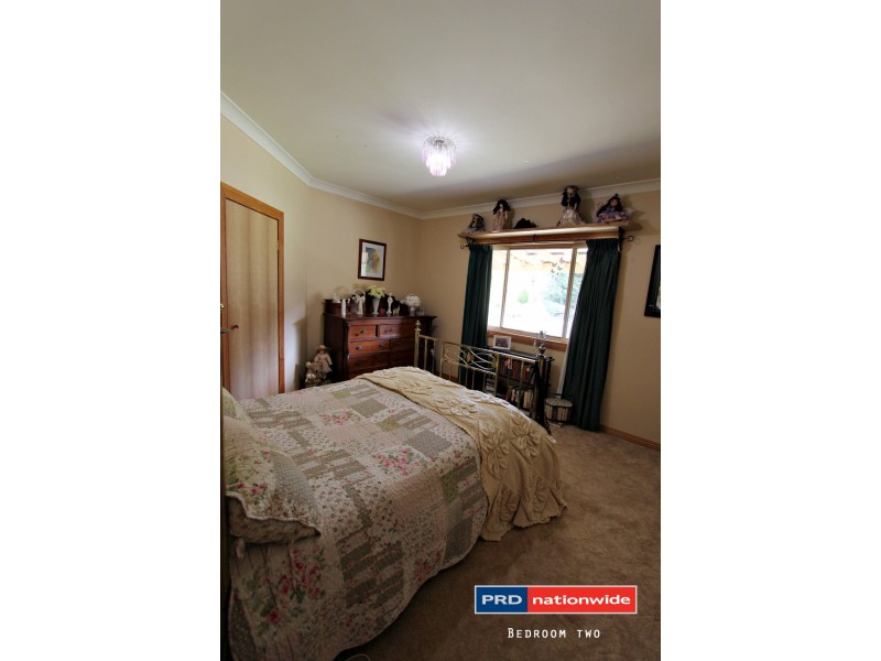 200 Willigobung Road, Tumbarumba NSW 2653