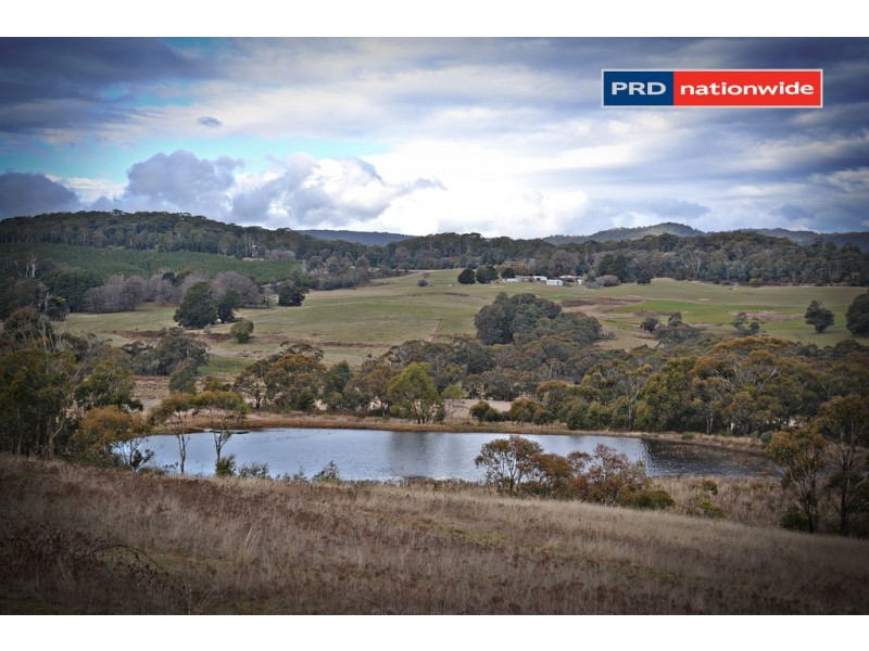 200 Willigobung Road, Tumbarumba NSW 2653