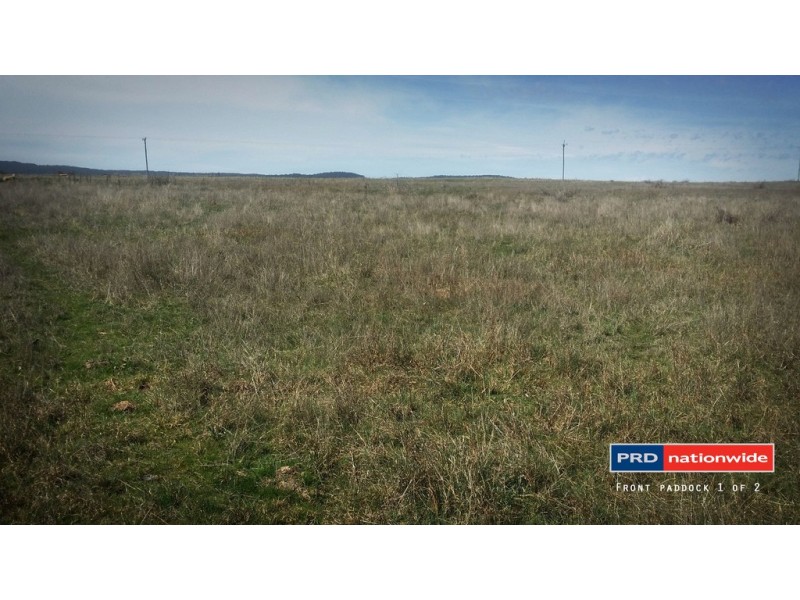 200 Willigobung Road, Tumbarumba NSW 2653