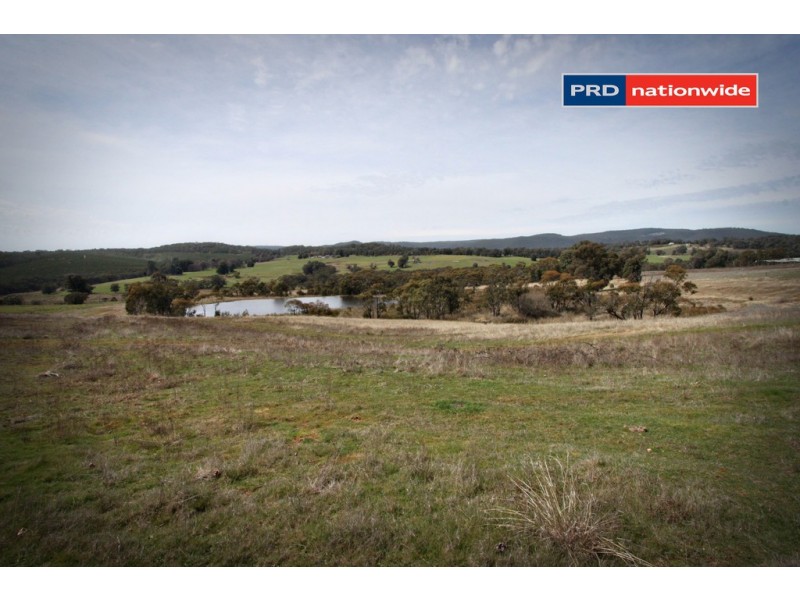 200 Willigobung Road, Tumbarumba NSW 2653