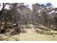 6 Moody’s Hill Road, Tumbarumba NSW 2653
