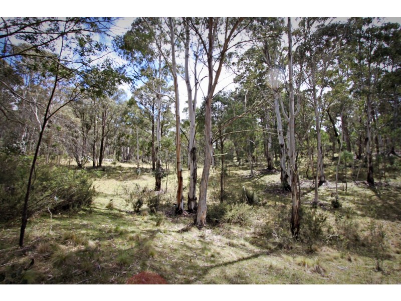 6 Moody’s Hill Road, Tumbarumba NSW 2653