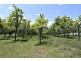 287 Willigobung Road, Tumbarumba NSW 2653