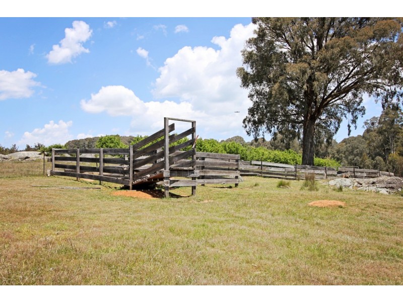287 Willigobung Road, Tumbarumba NSW 2653