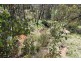 287 Willigobung Road, Tumbarumba NSW 2653