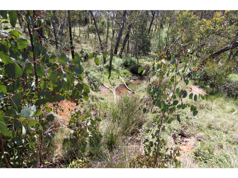 287 Willigobung Road, Tumbarumba NSW 2653